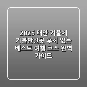 2025 태안 겨울에 가볼만한곳: 후회 없는 베스트 여행 코스 완벽 가이드