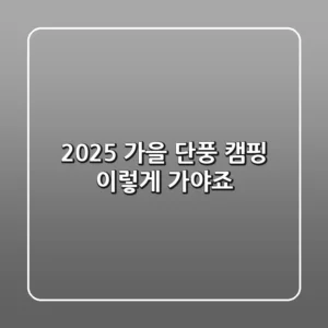 2025 가을 단풍 캠핑, 이렇게 가야죠!
