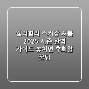 웰리힐리 스키장 셔틀, 2025 시즌 완벽 가이드 (놓치면 후회할 꿀팁!)