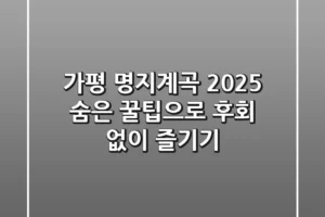 가평 명지계곡 2025, 숨은 꿀팁으로 후회 없이 즐기기