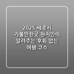 2025 세종시 가볼만한곳: 현지인이 알려주는 후회 없는 여행 코스