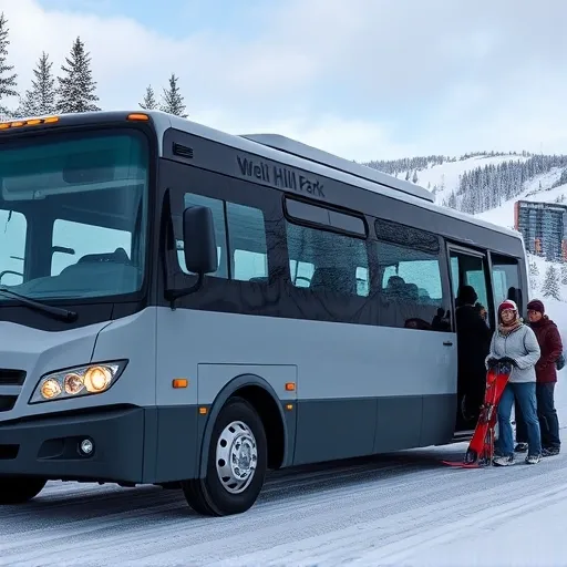 2025 웰리힐리 셔틀버스 예약부터 탑승까지 완벽 가이드 🚌