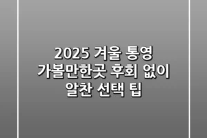 2025 겨울 통영 가볼만한곳, 후회 없이 알찬 선택 팁