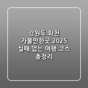강원도 화천 가볼만한곳 2025, 실패 없는 여행 코스 총정리