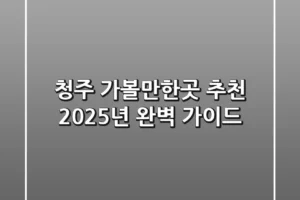 청주 가볼만한곳 추천, 2025년 완벽 가이드