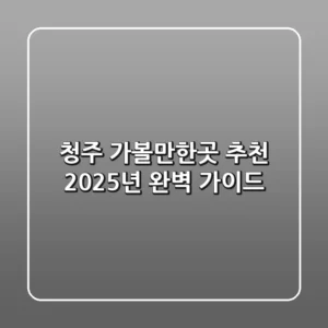 청주 가볼만한곳 추천, 2025년 완벽 가이드
