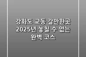 강화도 교동 갈만한곳, 2025년 놓칠 수 없는 완벽 코스!
