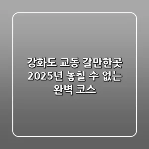 강화도 교동 갈만한곳, 2025년 놓칠 수 없는 완벽 코스!