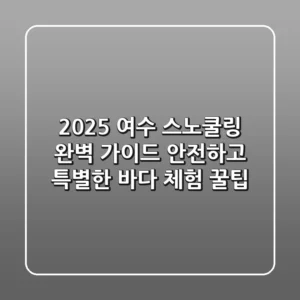 2025 여수 스노쿨링 완벽 가이드: 안전하고 특별한 바다 체험 꿀팁!