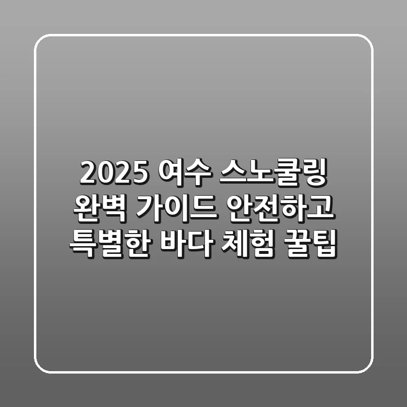 2025 여수 스노쿨링 완벽 가이드: 안전하고 특별한 바다 체험 꿀팁!