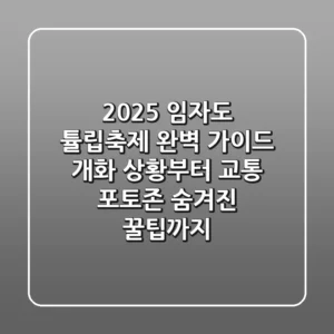 2025 임자도 튤립축제 완벽 가이드: 개화 상황부터 교통, 포토존, 숨겨진 꿀팁까지