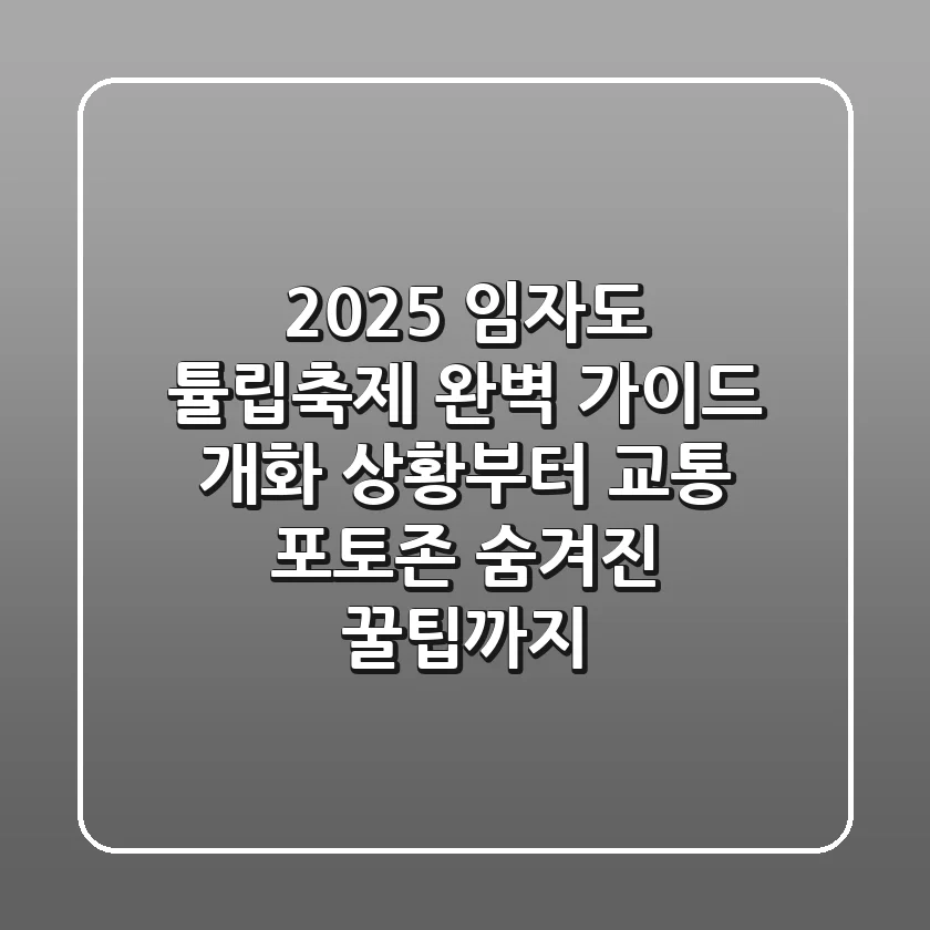 2025 임자도 튤립축제 완벽 가이드: 개화 상황부터 교통, 포토존, 숨겨진 꿀팁까지