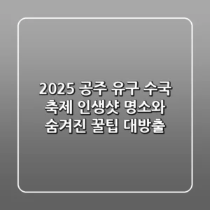 2025 공주 유구 수국 축제, 인생샷 명소와 숨겨진 꿀팁 대방출!