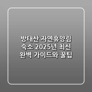 방태산 자연휴양림 숙소: 2025년 최신 완벽 가이드와 꿀팁