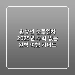 환상선 눈꽃열차, 2025년 후회 없는 완벽 여행 가이드