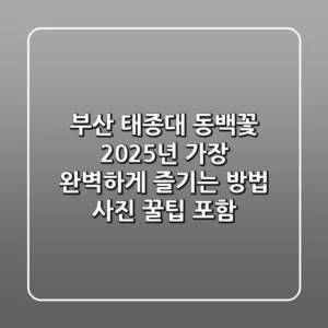부산 태종대 동백꽃, 2025년 가장 완벽하게 즐기는 방법 (사진 꿀팁 포함)