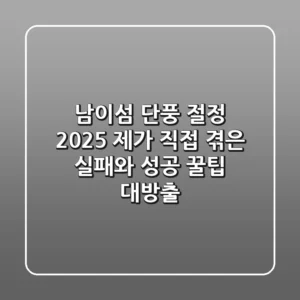 남이섬 단풍 절정 2025: 제가 직접 겪은 실패와 성공 꿀팁 대방출!