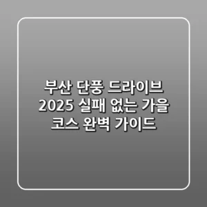 부산 단풍 드라이브 2025: 실패 없는 가을 코스 완벽 가이드