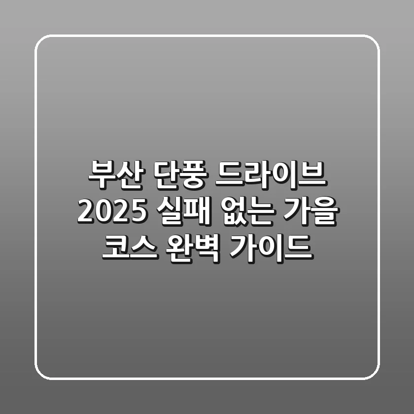 부산 단풍 드라이브 2025: 실패 없는 가을 코스 완벽 가이드
