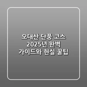 오대산 단풍 코스, 2025년 완벽 가이드와 현실 꿀팁