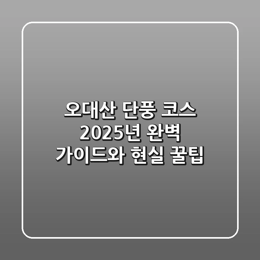 오대산 단풍 코스, 2025년 완벽 가이드와 현실 꿀팁