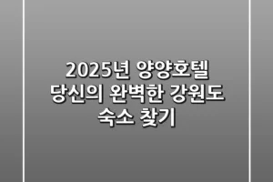 2025년 양양호텔: 당신의 완벽한 강원도 숙소 찾기