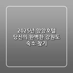 2025년 양양호텔: 당신의 완벽한 강원도 숙소 찾기