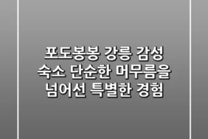 포도봉봉: 강릉 감성 숙소, 단순한 머무름을 넘어선 특별한 경험