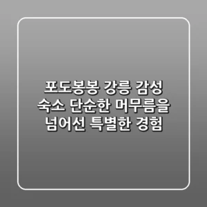 포도봉봉: 강릉 감성 숙소, 단순한 머무름을 넘어선 특별한 경험