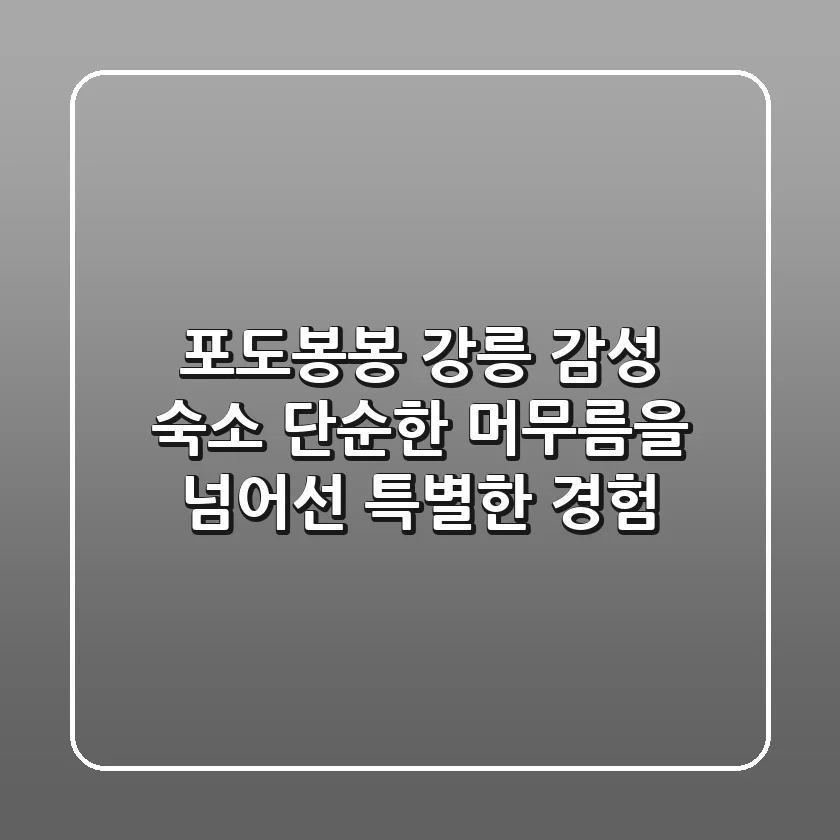 포도봉봉: 강릉 감성 숙소, 단순한 머무름을 넘어선 특별한 경험