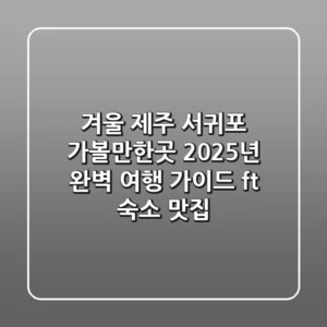 겨울 제주 서귀포 가볼만한곳: 2025년 완벽 여행 가이드 (ft. 숙소, 맛집)