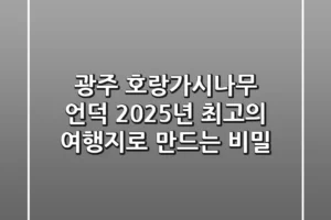 광주 호랑가시나무 언덕, 2025년 최고의 여행지로 만드는 비밀