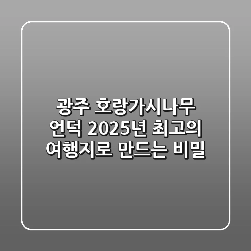 광주 호랑가시나무 언덕, 2025년 최고의 여행지로 만드는 비밀