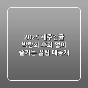 2025 제주감귤 박람회, 후회 없이 즐기는 꿀팁 대공개!