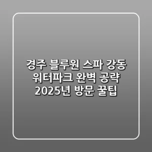 경주 블루원 스파? 강동 워터파크 완벽 공략! 2025년 방문 꿀팁