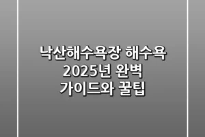 낙산해수욕장 해수욕: 2025년 완벽 가이드와 꿀팁