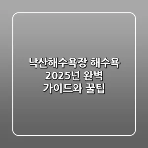 낙산해수욕장 해수욕: 2025년 완벽 가이드와 꿀팁