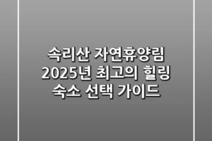 속리산 자연휴양림, 2025년 최고의 힐링 숙소 선택 가이드
