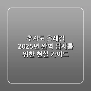 추자도 올레길, 2025년 완벽 답사를 위한 현실 가이드