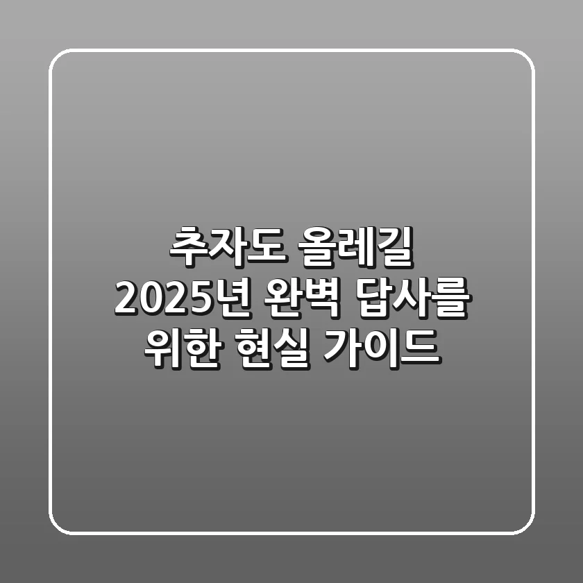 추자도 올레길, 2025년 완벽 답사를 위한 현실 가이드