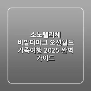 소노펠리체 비발디파크 오션월드 가족여행 2025 완벽 가이드