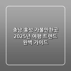 충남 홍성 가볼만한곳: 2025년 여행 트렌드 완벽 가이드