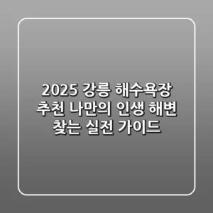 2025 강릉 해수욕장 추천: 나만의 '인생 해변' 찾는 실전 가이드