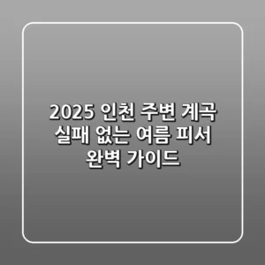2025 인천 주변 계곡: 실패 없는 여름 피서 완벽 가이드
