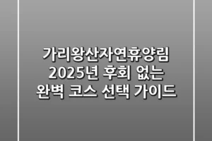 가리왕산자연휴양림 2025년, 후회 없는 완벽 코스 선택 가이드