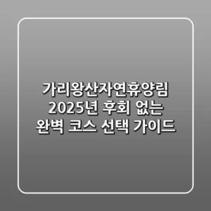 가리왕산자연휴양림 2025년, 후회 없는 완벽 코스 선택 가이드