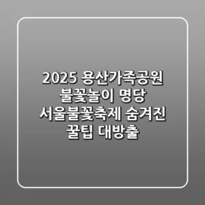 2025 용산가족공원 불꽃놀이 명당? 서울불꽃축제 숨겨진 꿀팁 대방출!
