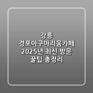 강릉 경포아쿠아리움카페, 2025년 최신 방문 꿀팁 총정리!