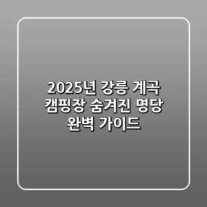2025년 강릉 계곡 캠핑장, 숨겨진 명당 완벽 가이드