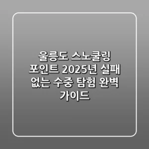 울릉도 스노쿨링 포인트, 2025년 실패 없는 수중 탐험 완벽 가이드